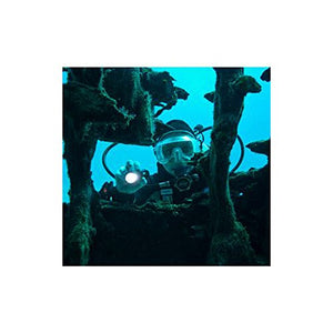 Dorcy 220-Lumen Submersible Dive II Anti-Corrosion LED Flashlight with Nylon Lanyard, Black (41-1467)