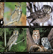 Audubon Society Field Guide to North American Birds: Eastern Region.