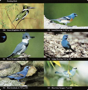 Audubon Society Field Guide to North American Birds: Eastern Region.